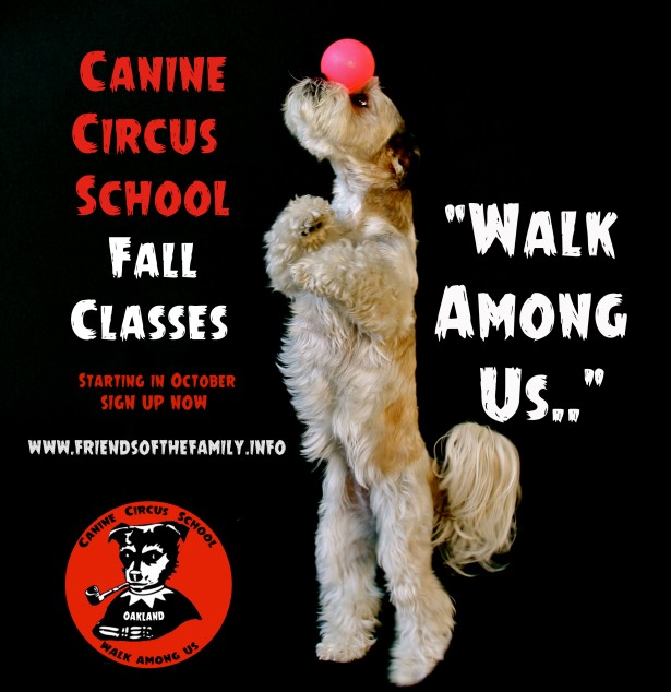 walk among us fall classes circus school