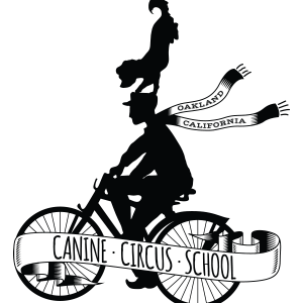 canine-circus-school-final
